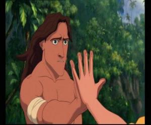 Tarzan E Jane