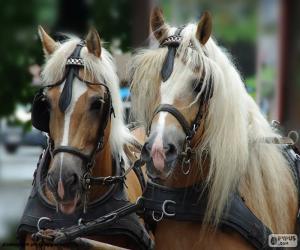 Cavalos Jogos de Puzzel: Quebra Cabeças Cavalos grátis::Appstore  for Android