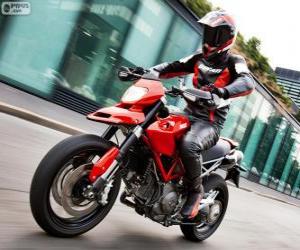 Puzle Ducati Hypermotard 1100EVO 2013