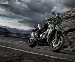 Puzle Kawasaki Z1000 2014