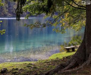 embaixo da agua paisagem, quebra-cabeças enigma jogos peças