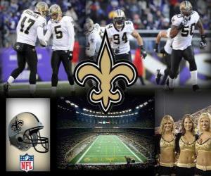 Puzle New Orleans Saints