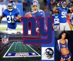 Puzle New York Giants