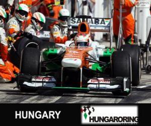 Puzle Paul di Resta - Force India - Hungaroring, 2013