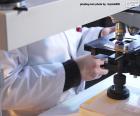Puzle Cientista com um microscópio no laborat