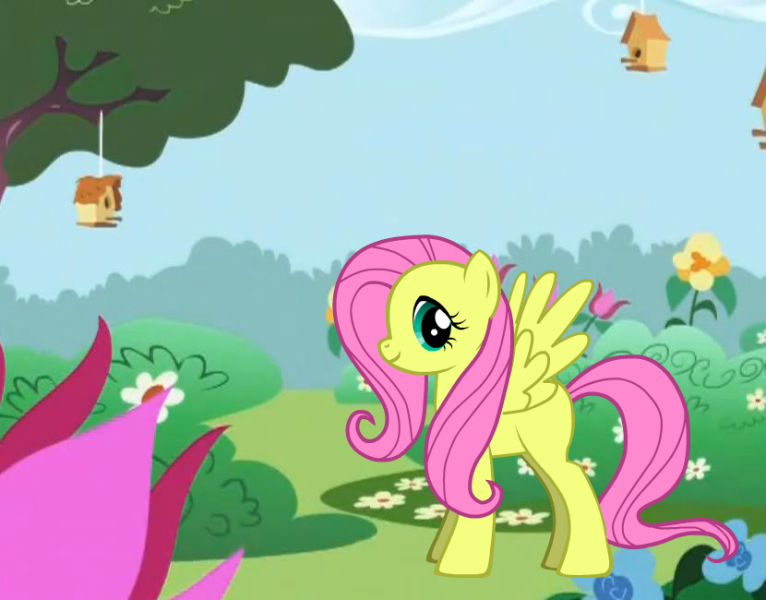 fluttershy puzzle