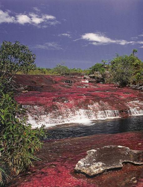 RIO VERMELHO puzzle