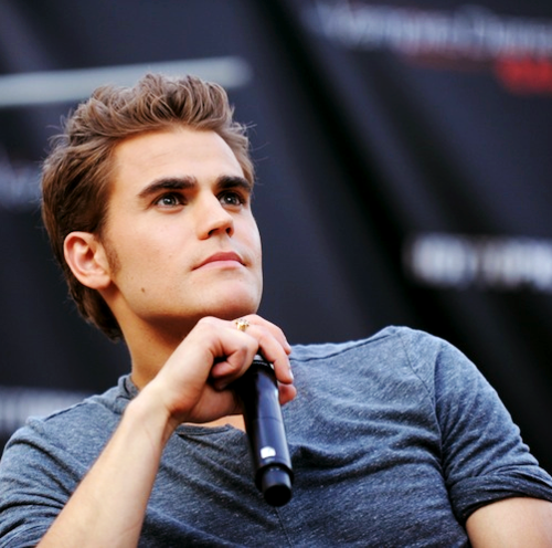 paul wesley puzzle