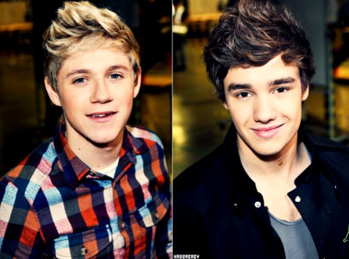 niall e liam puzzle