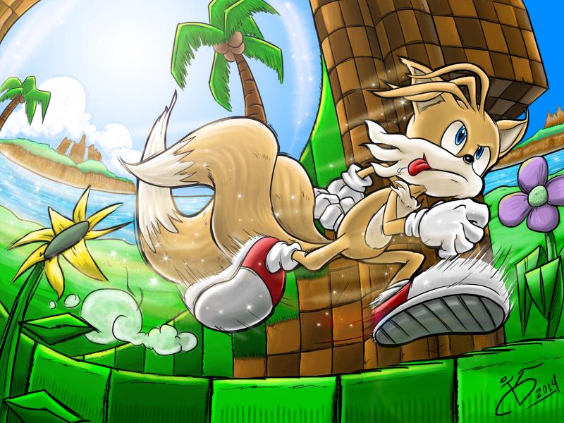 Tails puzzle