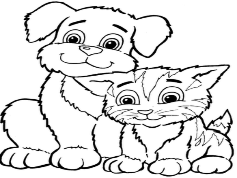 cat and dog puzzle