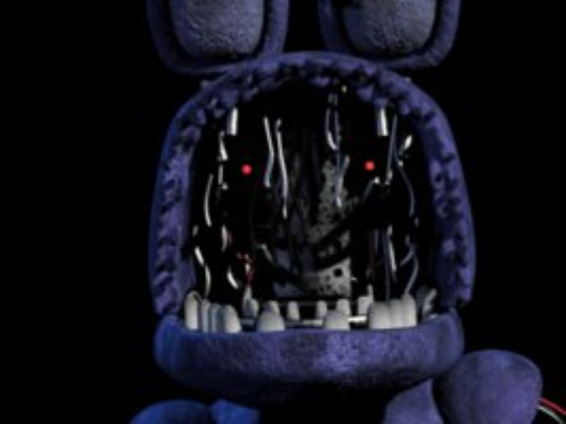 bonnie puzzle