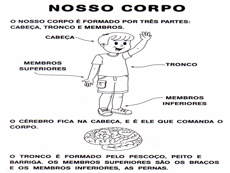 Quebra - cabeça Corpo Humano puzzle