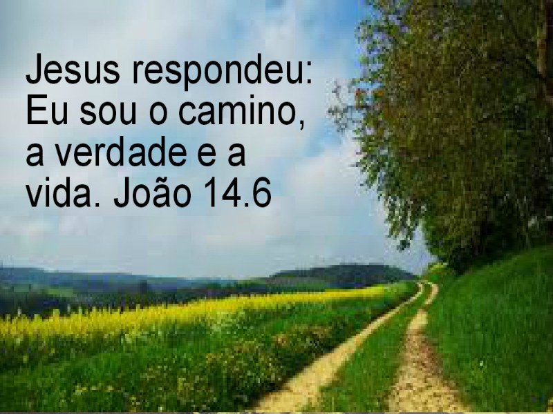 JESUS: O CAMINHO puzzle