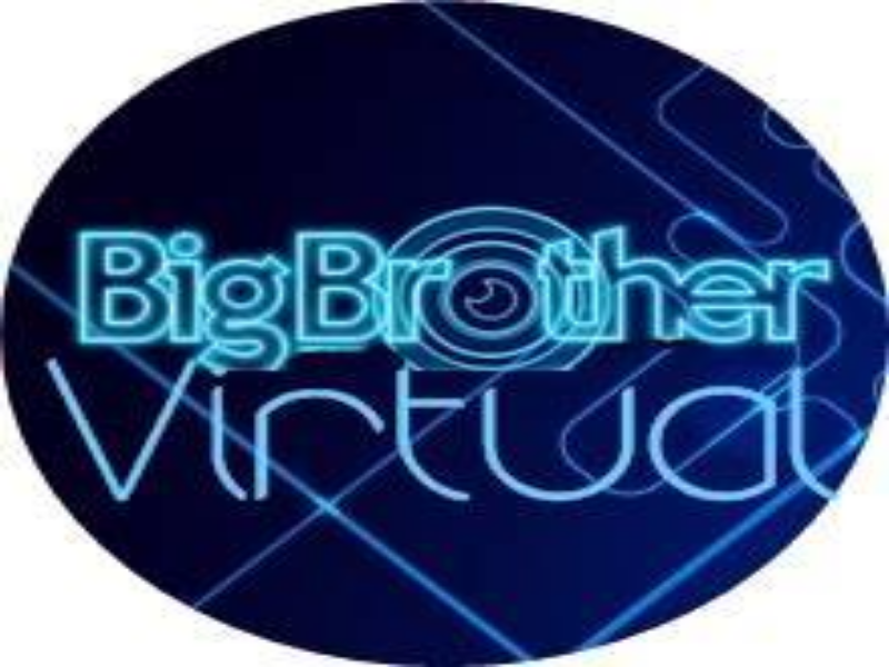 BIG BROTHER VIRTUAL puzzle