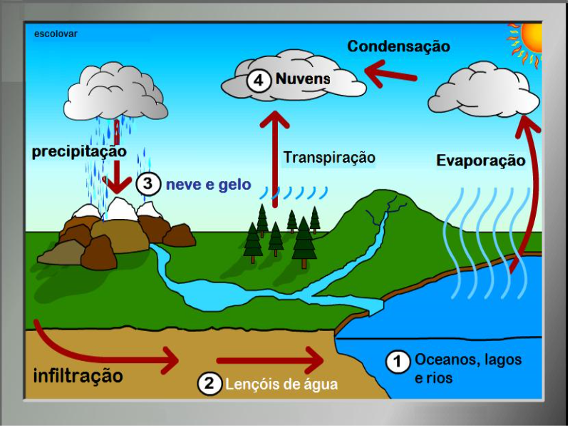 ciclo de agua puzzle