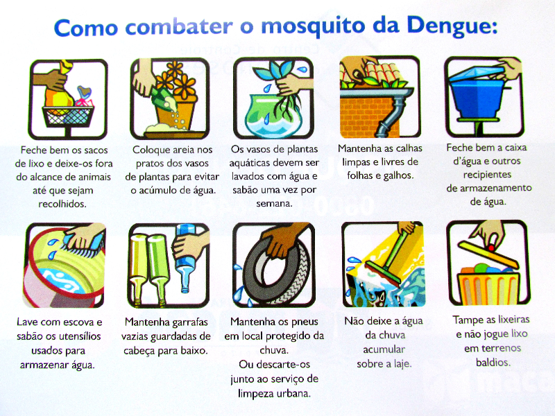 Combate a Dengue puzzle