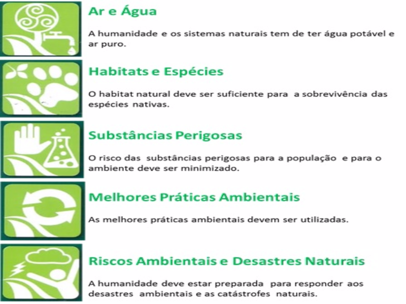 INSIGNIA MUNDIAL DO MEIO AMBIENTE puzzle