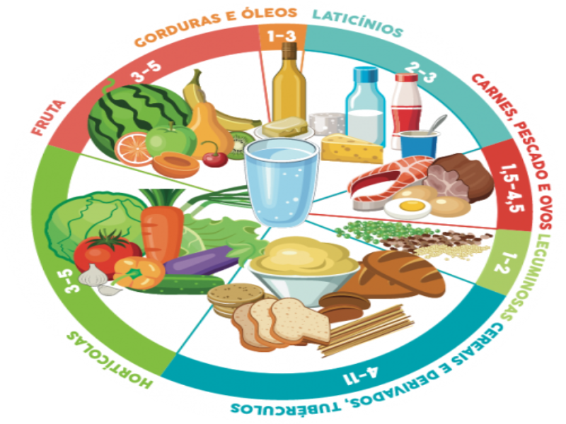 Roda de Alimentos puzzle