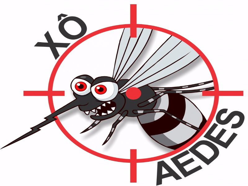 Xô Aedes puzzle