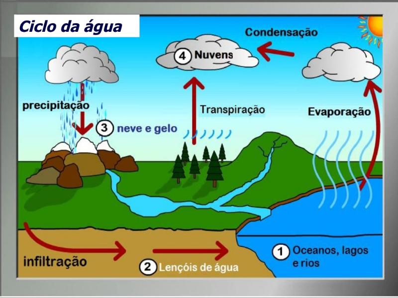 Ciclos da Água puzzle