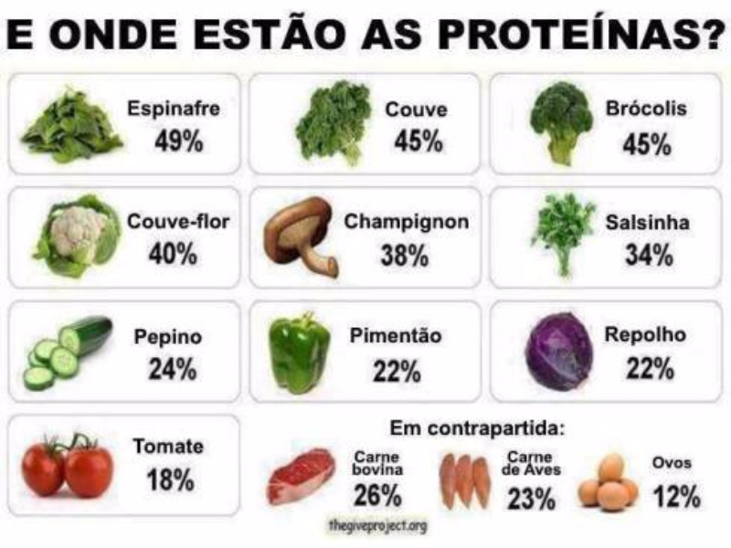 quebra cabeça proteínas puzzle