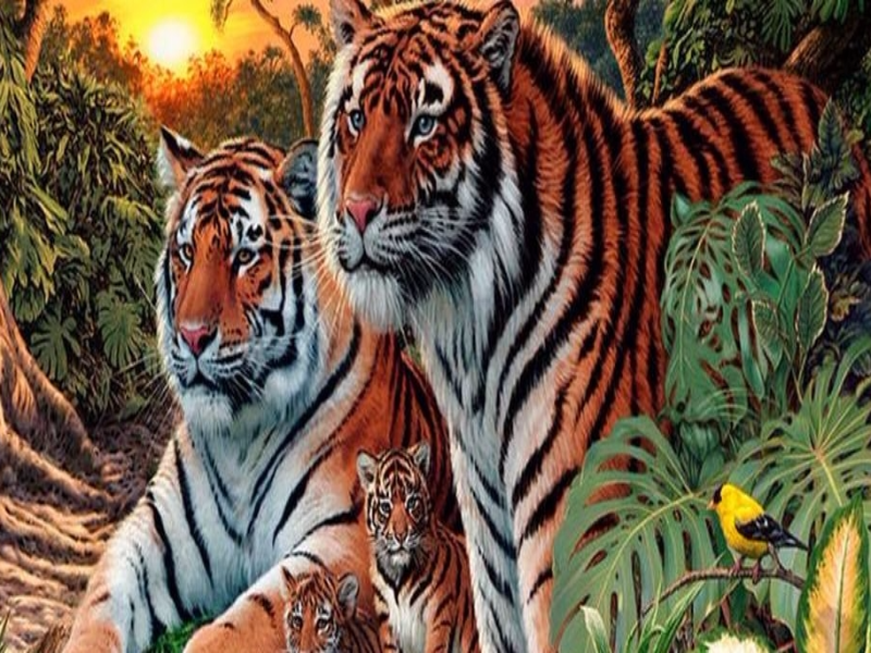 Familia de tigres puzzle