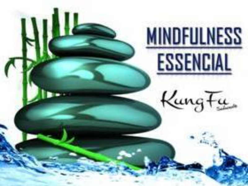 Mindfulness Essencial - Puzzle puzzle