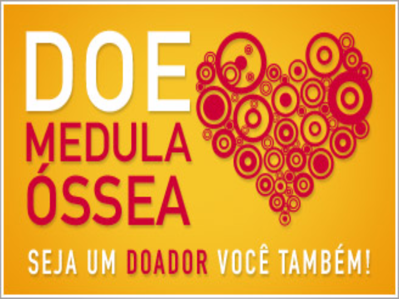 medula óssea puzzle