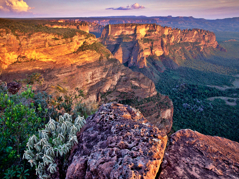 CHAPADA DOS GUIMARÃES  puzzle