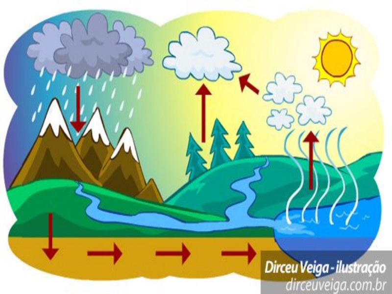 CICLO HIDROLÓGICO puzzle