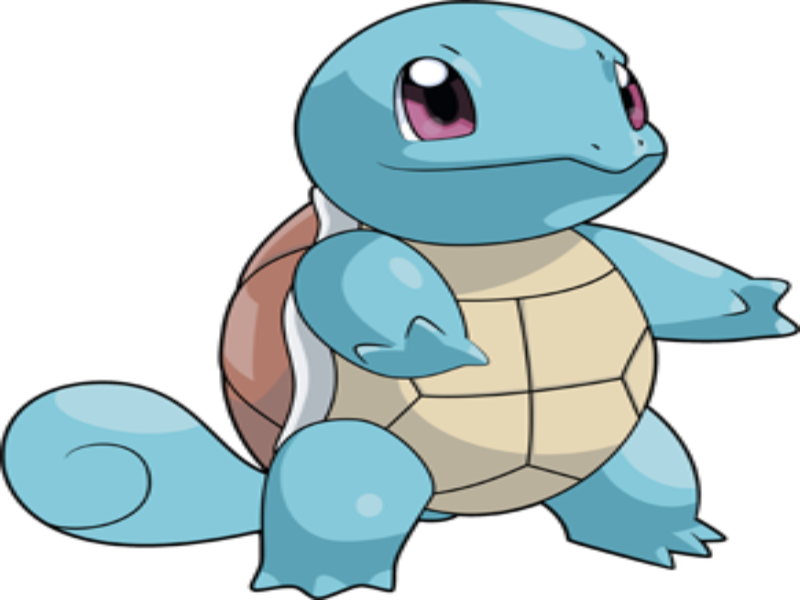 squirtle puzzle