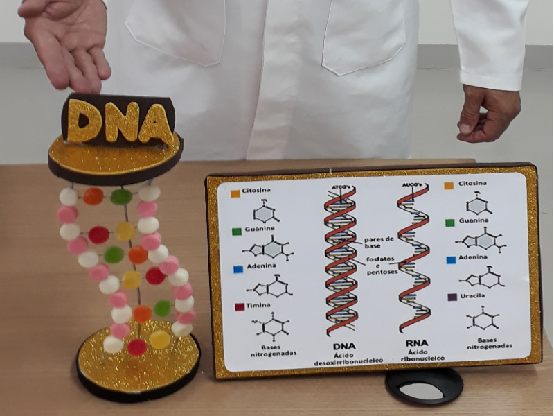 Estrutura do DNA puzzle