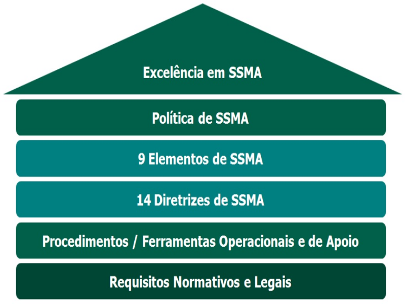 DNA DE SEGURANÇA puzzle