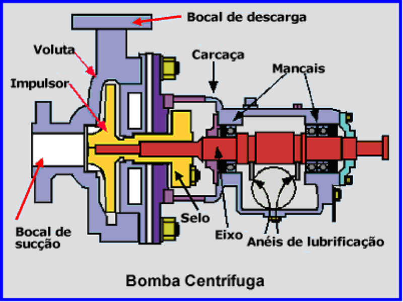 Bomba Centrífuga puzzle