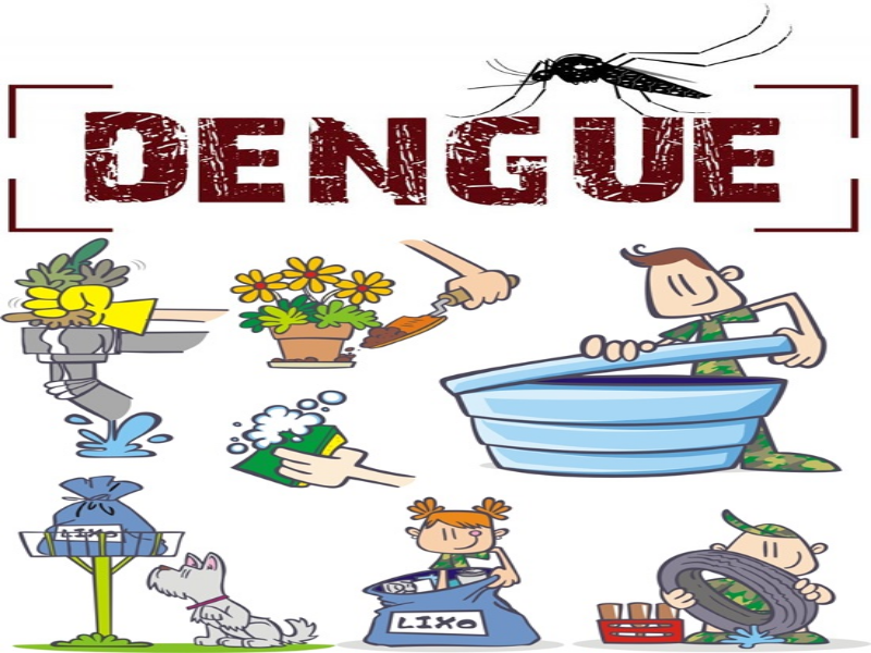 DENGUE 1 puzzle