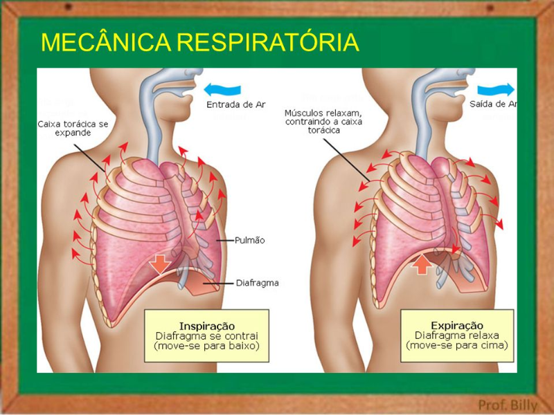 Mecãnica Respiratória puzzle