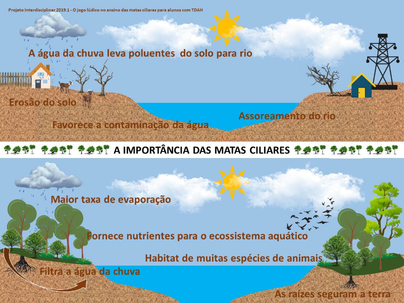 A IMPORTÂNCIA DAS MATAS CILIARES puzzle