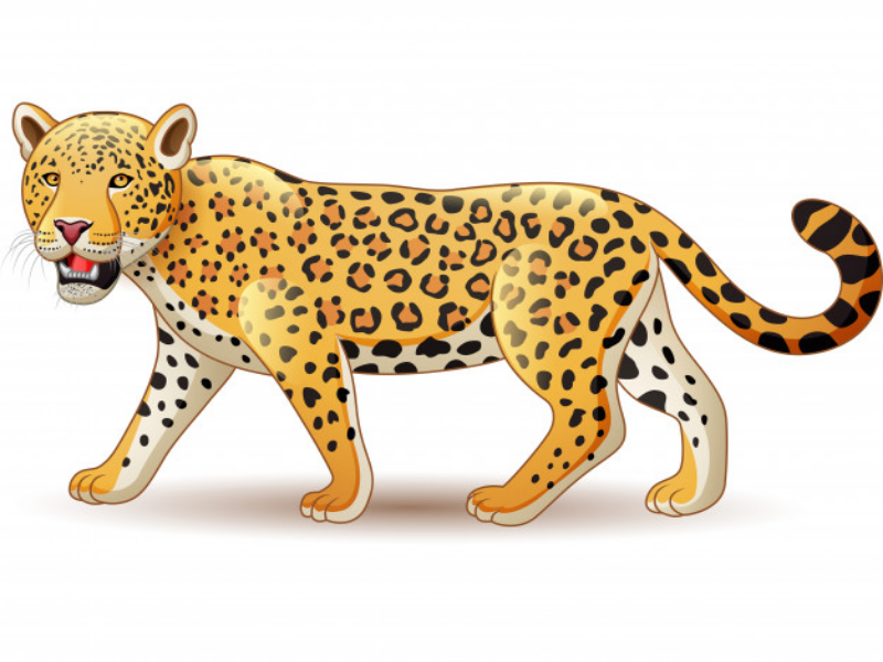 Leopardo puzzle