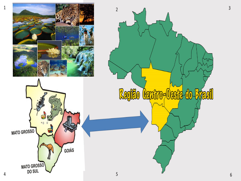 Região Centro-Oeste do BRASIL puzzle