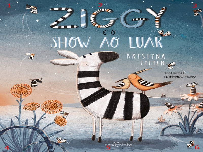 Livro: Ziggy e o show ao luar puzzle