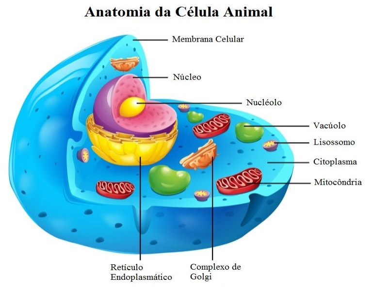 Dica: Você tem um monte... puzzle