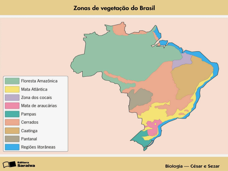 VEGETAÇÃO DO BRASIL puzzle