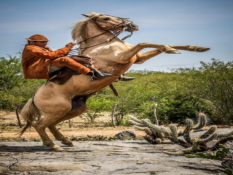 Historia de vaqueiro puzzle