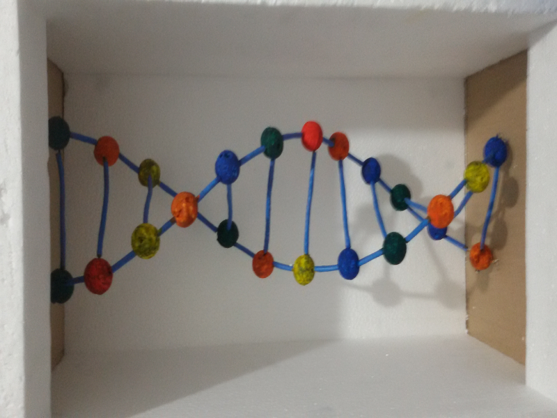 molécula de DNA puzzle