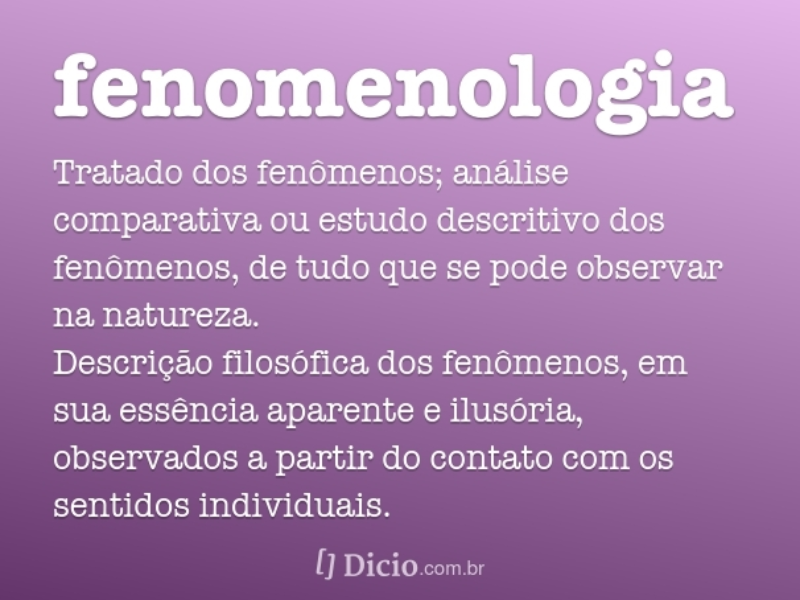 FENOMENOLOGIA puzzle