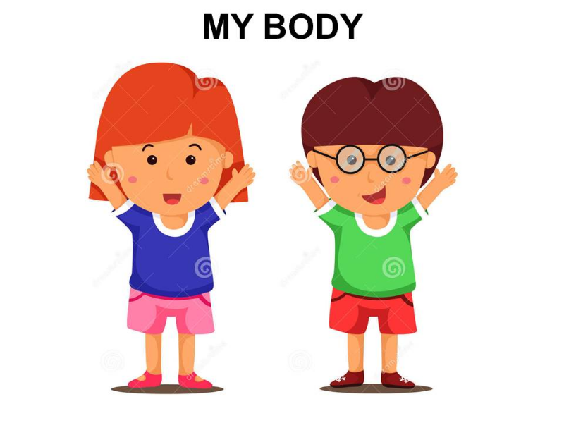 MY BODY puzzle