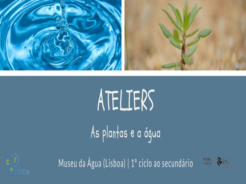 ateliers puzzle