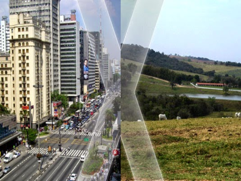 Campo X cidade puzzle