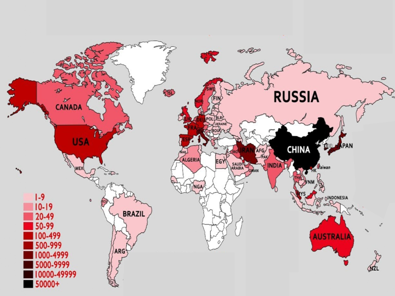 Mapa Mundo - Por onde passou o CORONAVIRUS? puzzle